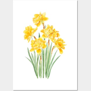 golden daffodils flowers with leaf watercolor Posters and Art